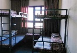 青年旅社图片,青年旅社里的温馨时光